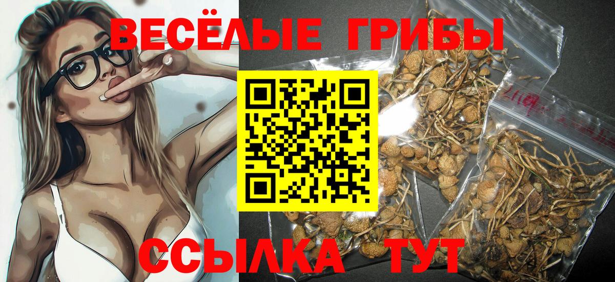 Томск  Псилоцибиновые грибы мухоморы  Вход с VPN 