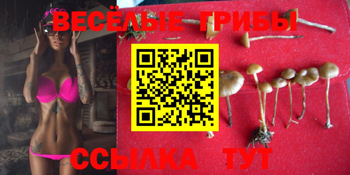 Псилоцибиновые грибы прущие грибы Томск